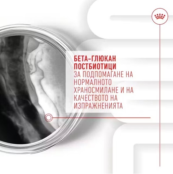 Royal Canin Puppy Suppllement Immunity and Digestion - Хранителна добавка за малки кученца за имунитет и добро храносмилане